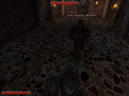 Gothic 2 004220,6